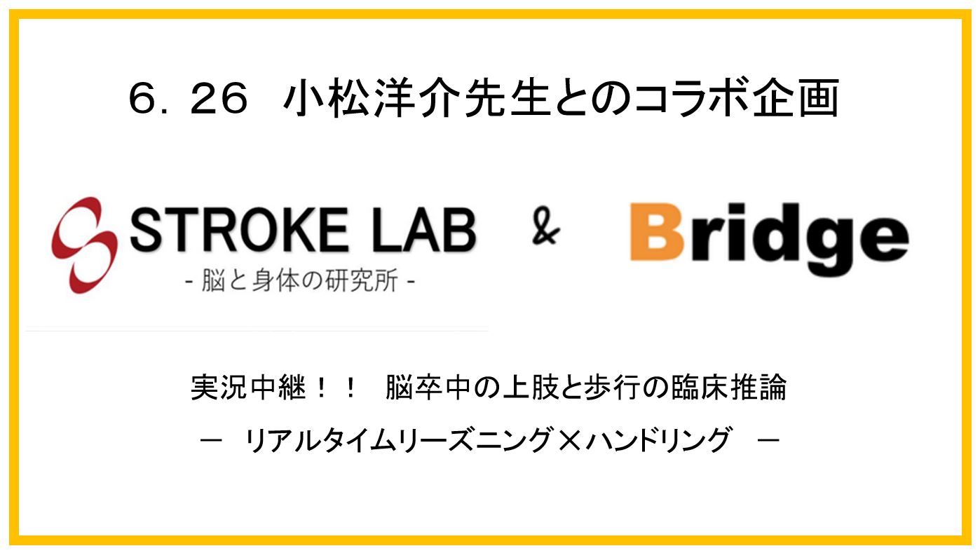 Bridgeコラボ