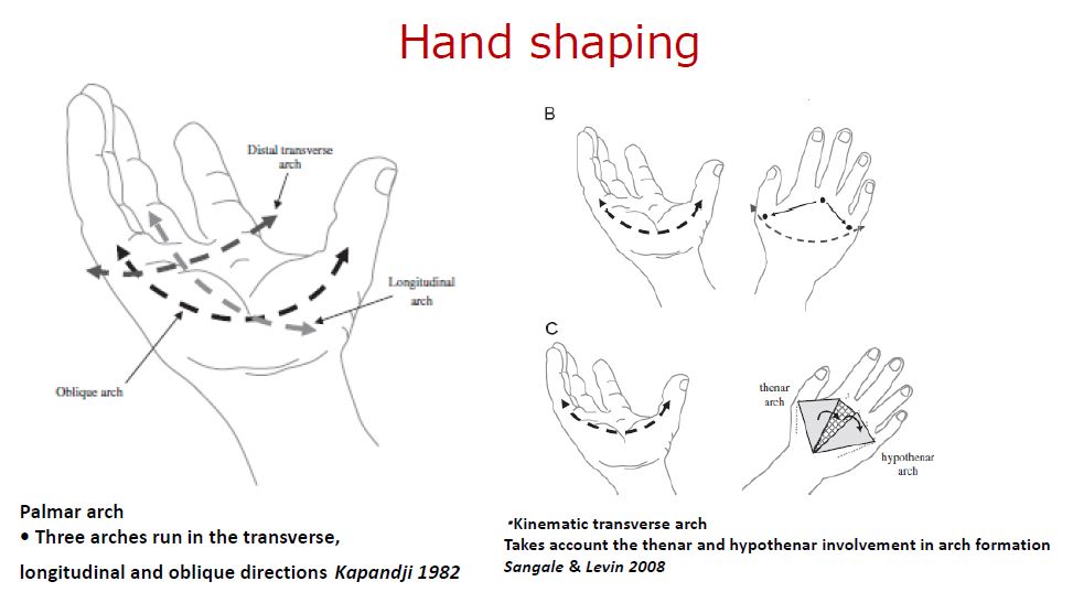 hand shaping