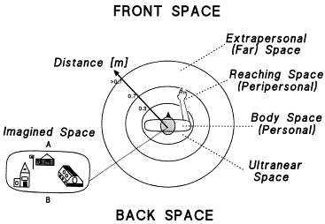 neuropsych-regions-of-space