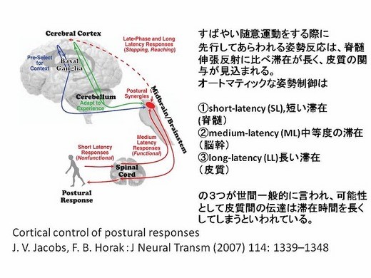 先行性の姿勢制御に関する図