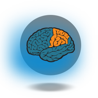 bg_lobe_parietal