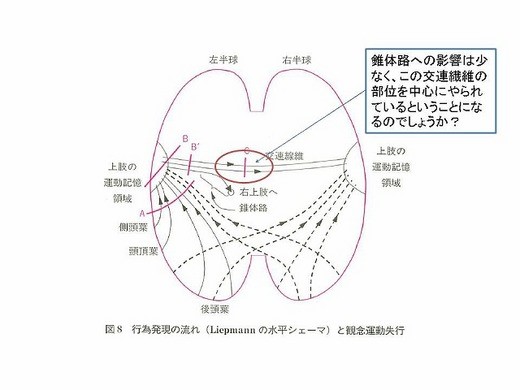 っっｓ