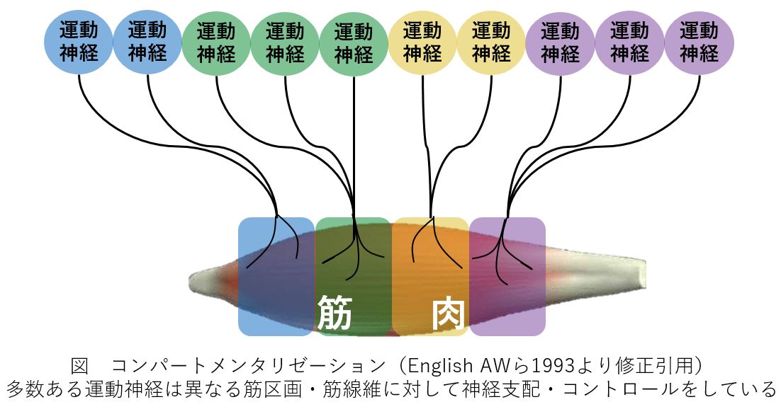 キャプチャ1