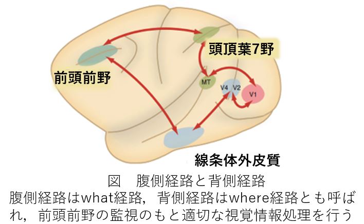 キャプチャ1