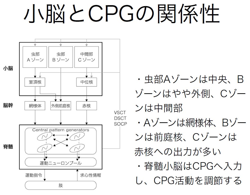 キャプチャ5