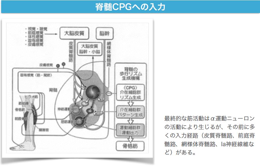 キャプチャ7