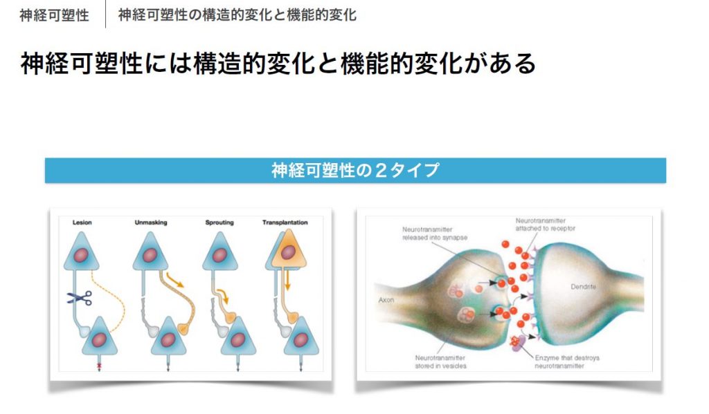 キャプチャ4