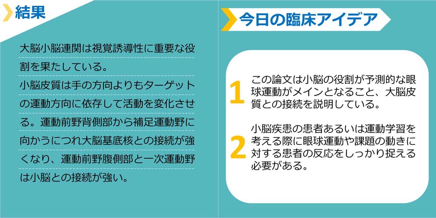 見出し画像２（眼球運動・認知機能と小脳）