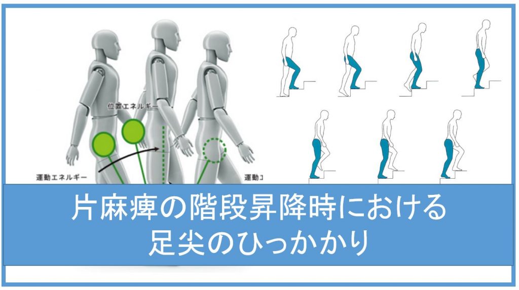 片麻痺の階段昇降時における足尖のひっかかり 脳卒中 脳梗塞のリハビリ論文サマリー 脳卒中 神経系 自費リハビリ施設 Stroke Lab 東京