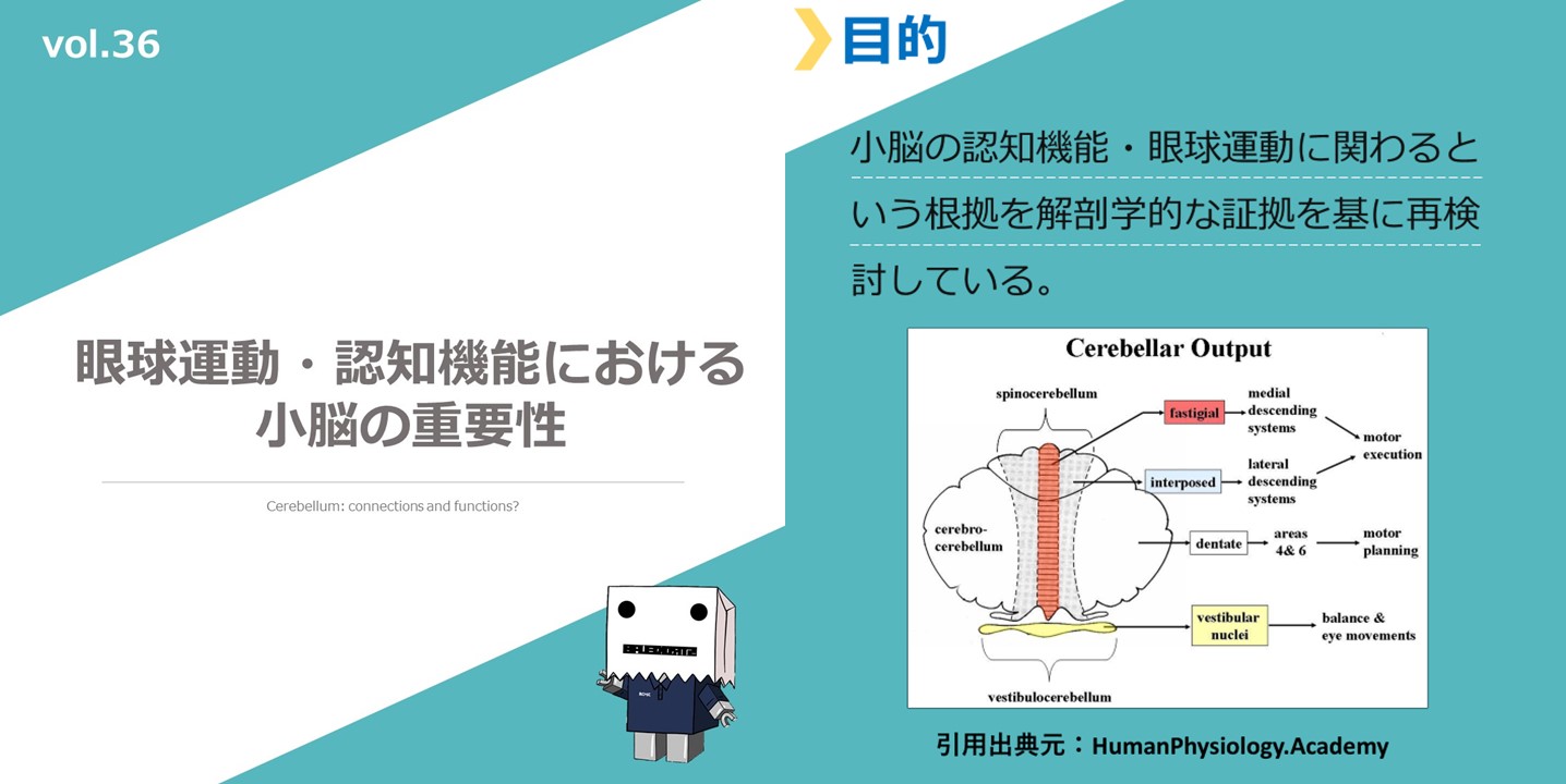 眼球運動と小脳　見出し画像１