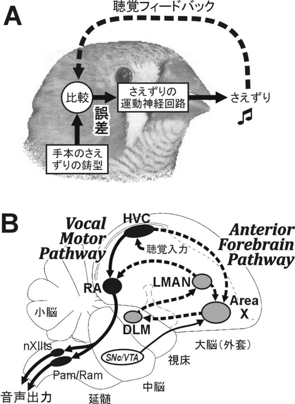 20120617000558