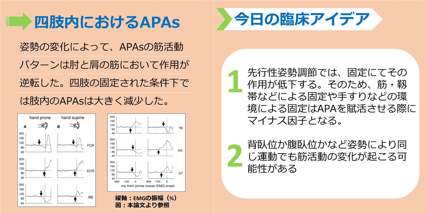 先行随伴性姿勢制御 見出し画像（２）