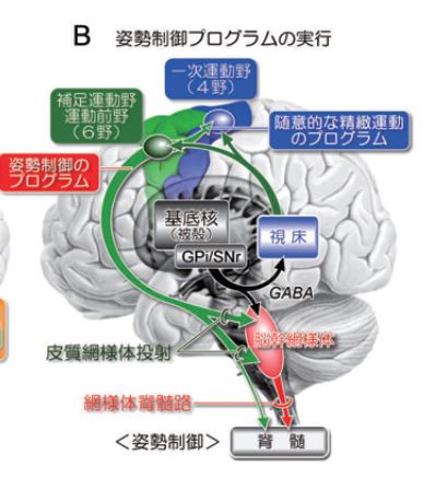 キャプチャ4