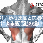 vol.351：歩行速度と前腕の重さによる筋活動の違い　　脳卒中/脳梗塞のリハビリ論文サマリー