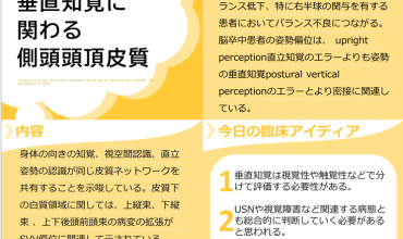 側頭葉のリハビリ論文サマリー