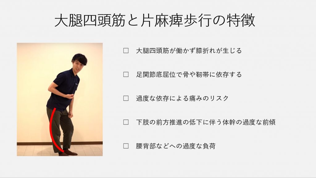 脳卒中 触診 大腿四頭筋 大腿直筋 外側広筋 中間広筋 内側広筋 の起始停止と片麻痺歩行の特徴について 脳卒中 神経系 自費リハビリ施設 Stroke Lab 東京