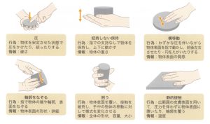 高次脳機能障害：知覚とは