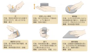 高次脳機能障害：知覚とは