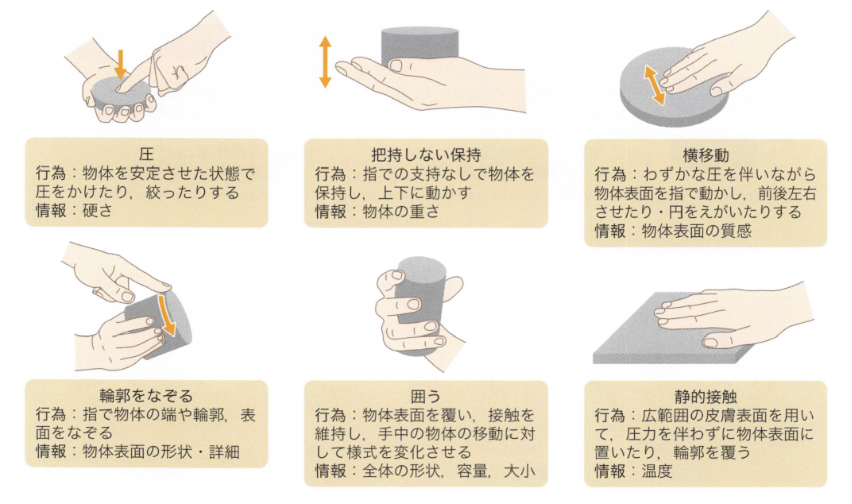 高次脳機能障害：知覚とは