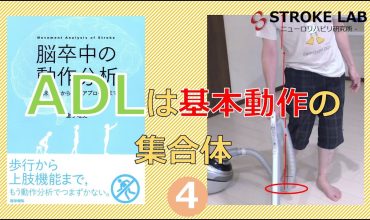 ADLと動作分析 神経システム-脳卒中の動作分析④-