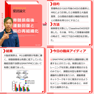 脊髄損傷の評価と機能回復