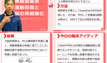 脊髄損傷の評価と機能回復