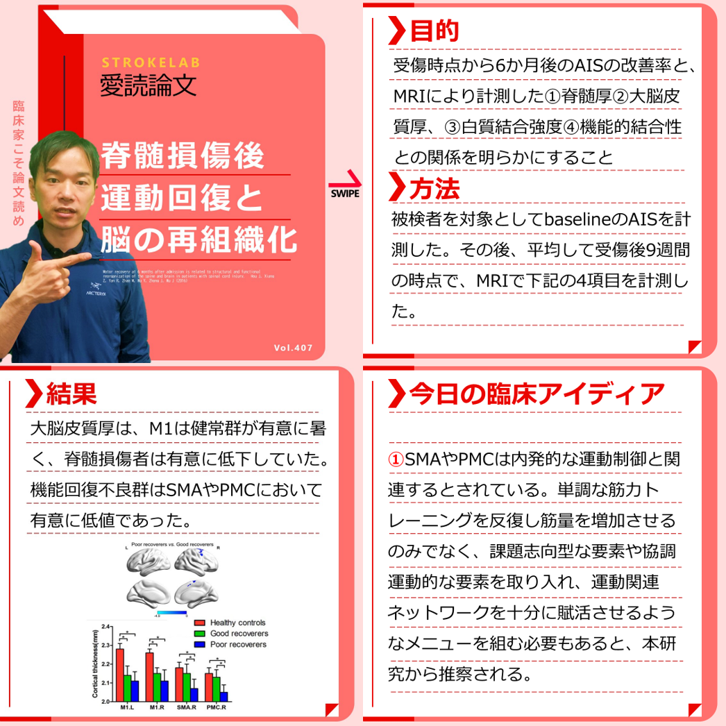 脊髄損傷の評価と機能回復