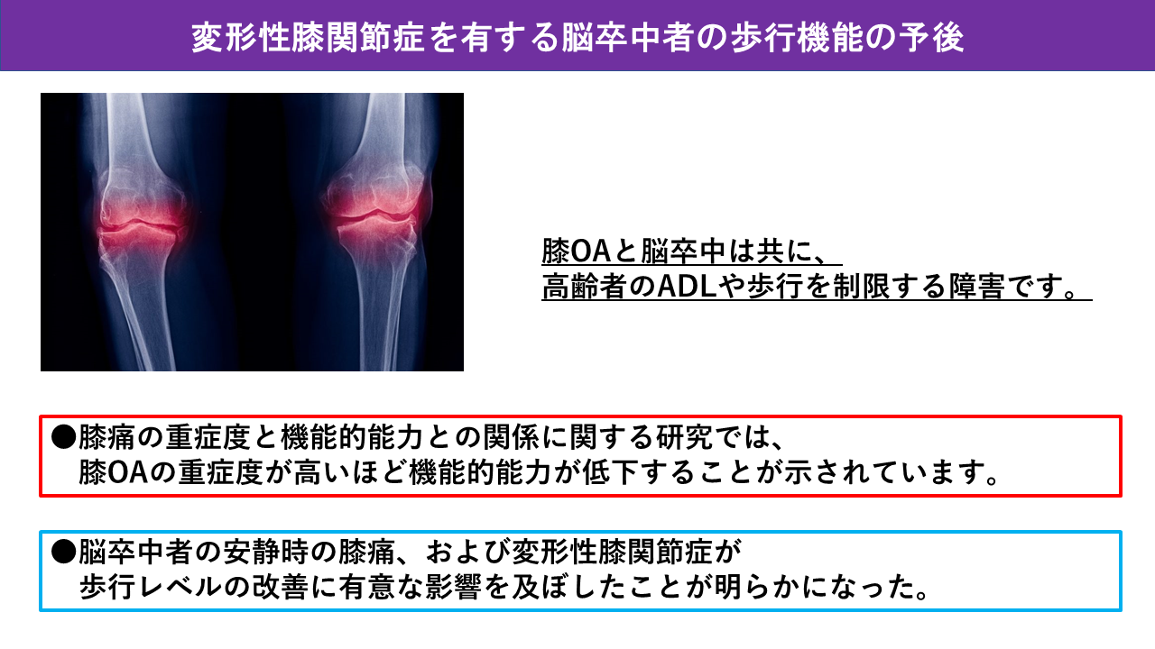 セルシオ 20 前期 後期 違い