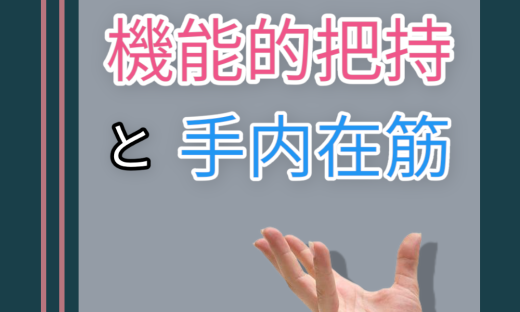 機能的把持を構築するための手内在筋の重要性