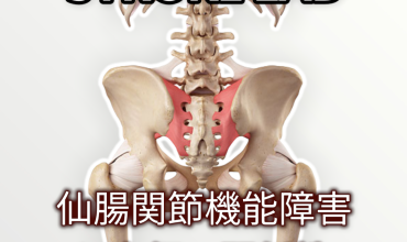 仙腸関節機能障害が及ぼす歩行時の筋活動への影響とは？