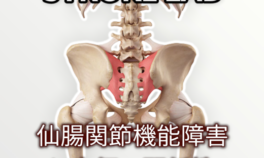 仙腸関節機能障害が及ぼす歩行時の筋活動への影響とは？