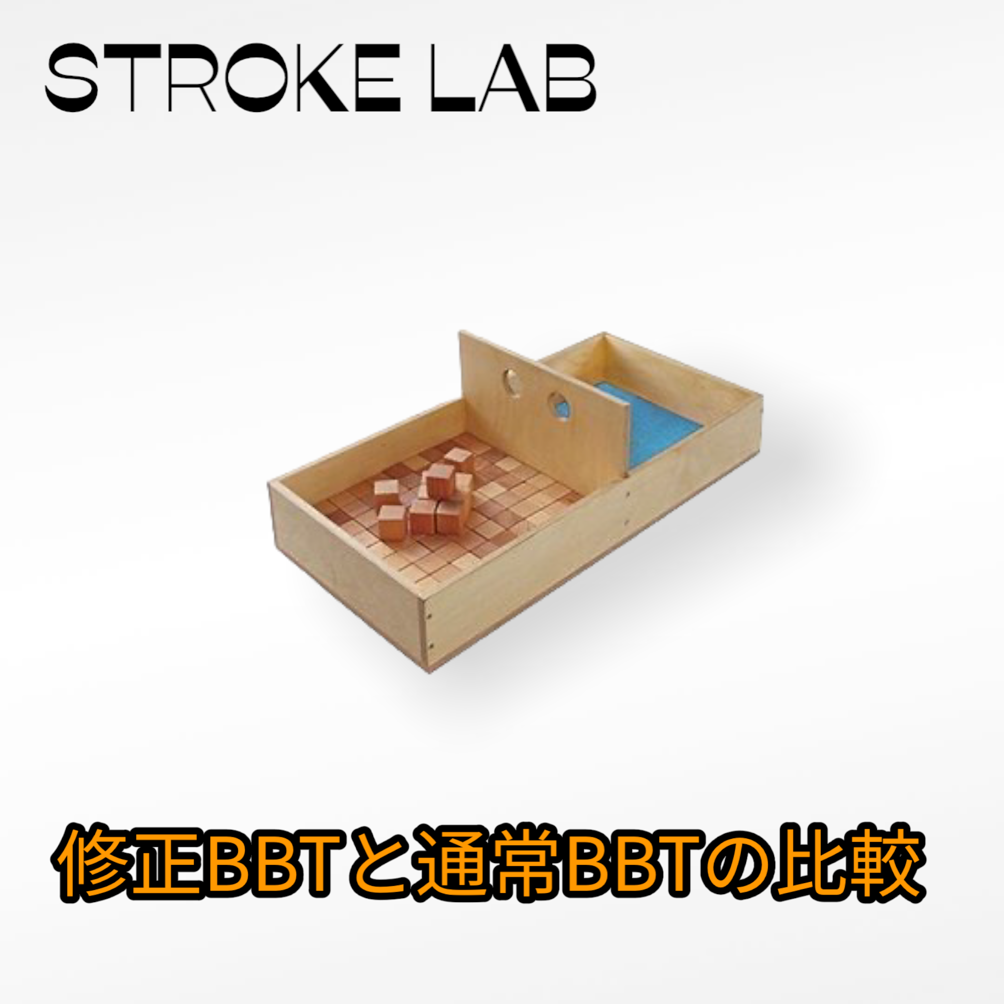ICFコアセット 臨床実践のためのマニュアル―CD-ROM付（ICFコアセット・記録用フォーム・使用症例） 2024年版) ボックスアンドブロックテスト (Box and Block test