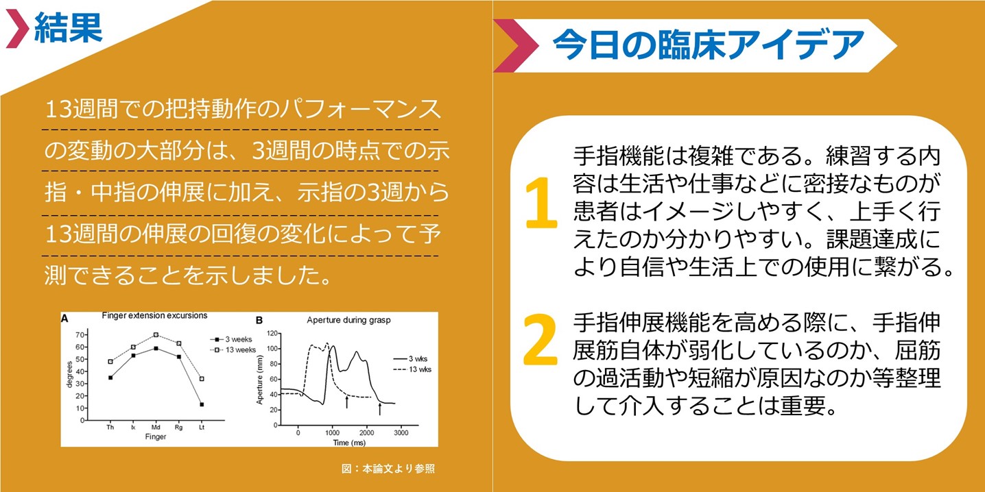 手指伸展機能の回復と把持動作（grasp）の関係性とは？まとめ（２）