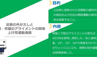 足部と大腿・骨盤のアライメントの関係性