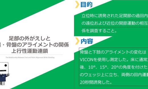 足部と大腿・骨盤のアライメントの関係性