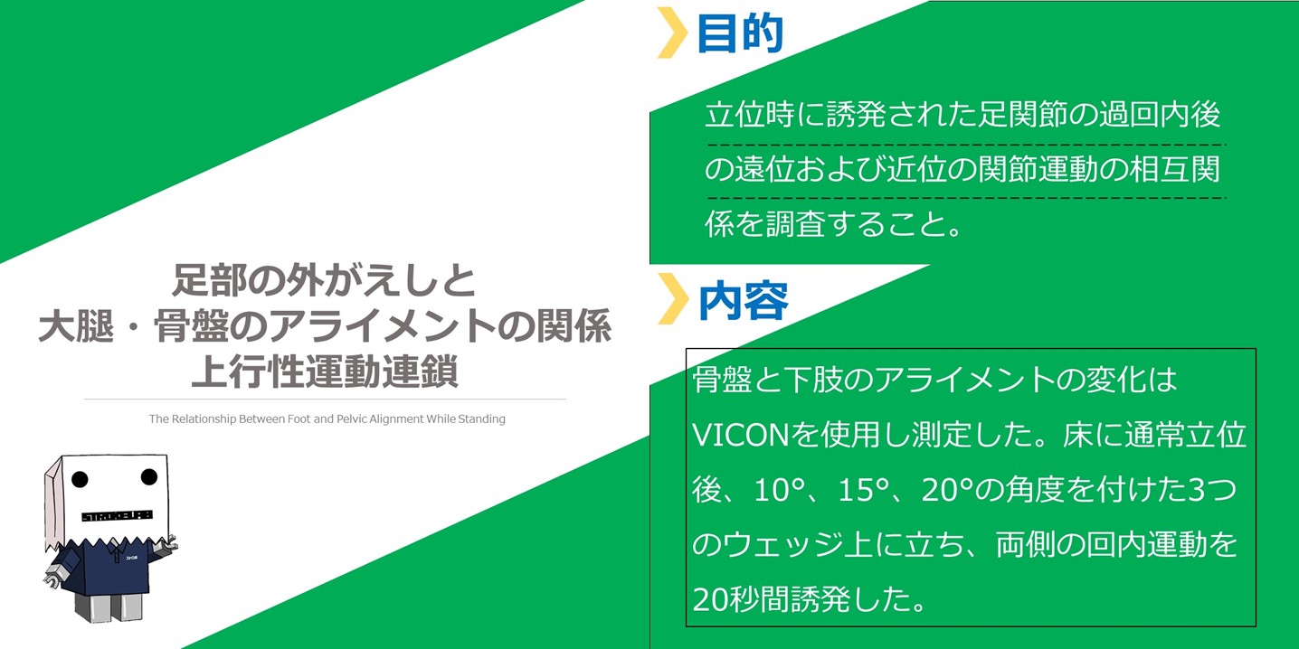 Vol.581.足部と大腿・骨盤のアライメントの関係性 脳卒中/脳梗塞