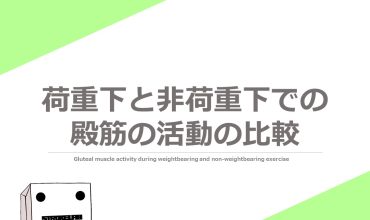 荷重下と非荷重下での殿筋活動の違い