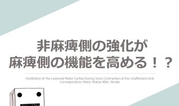 クロスエデュケーション　非麻痺側の強化が麻痺側の機能を高める！？（アイキャッチ画像）