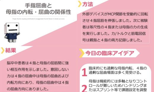 手指屈曲と母子の内転・屈曲との関係性