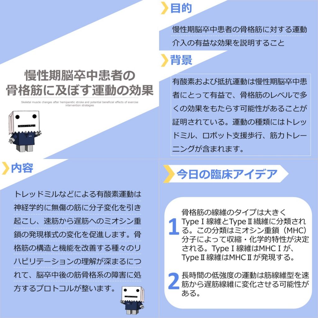 慢性期脳卒中患者の骨格筋に及ぼす運動の効果