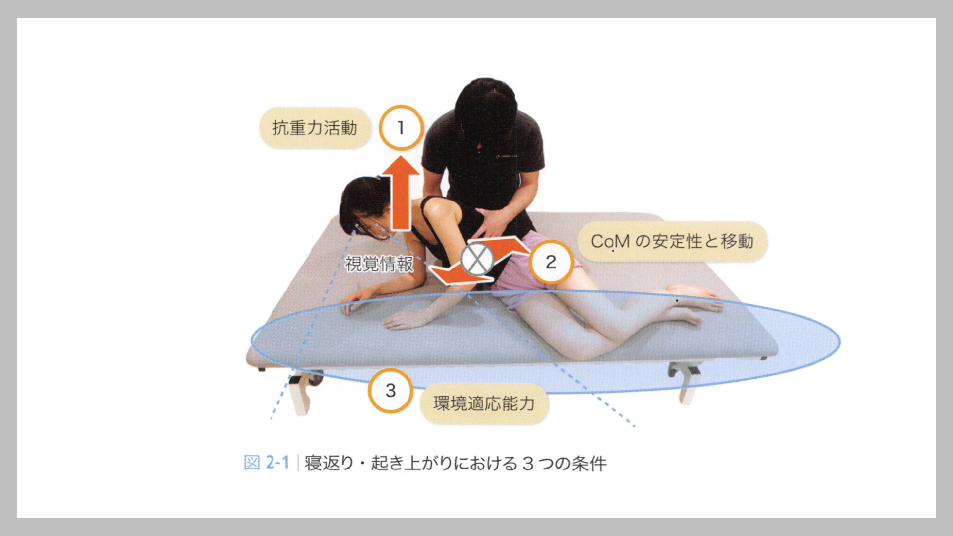 寝返り・起き上がりに必要な3つの条件