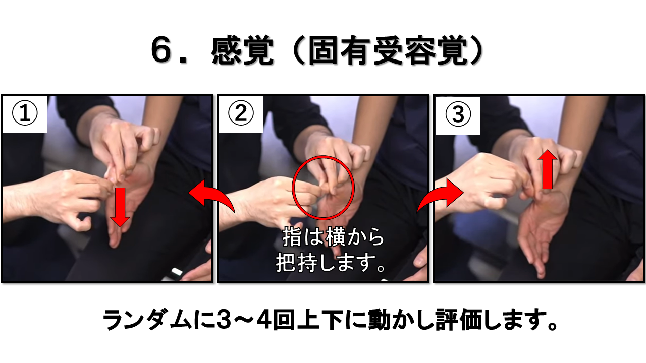 上肢の神経学的検査：固有受容覚