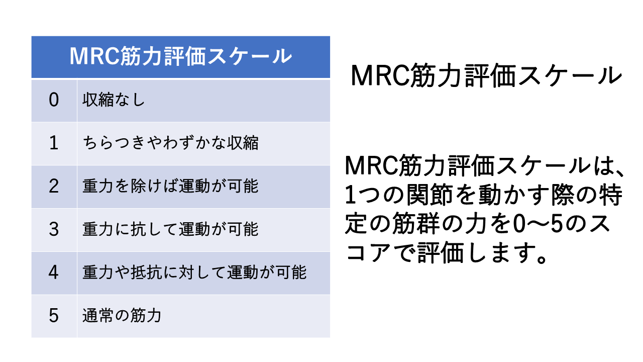 MRC筋力評価スケール