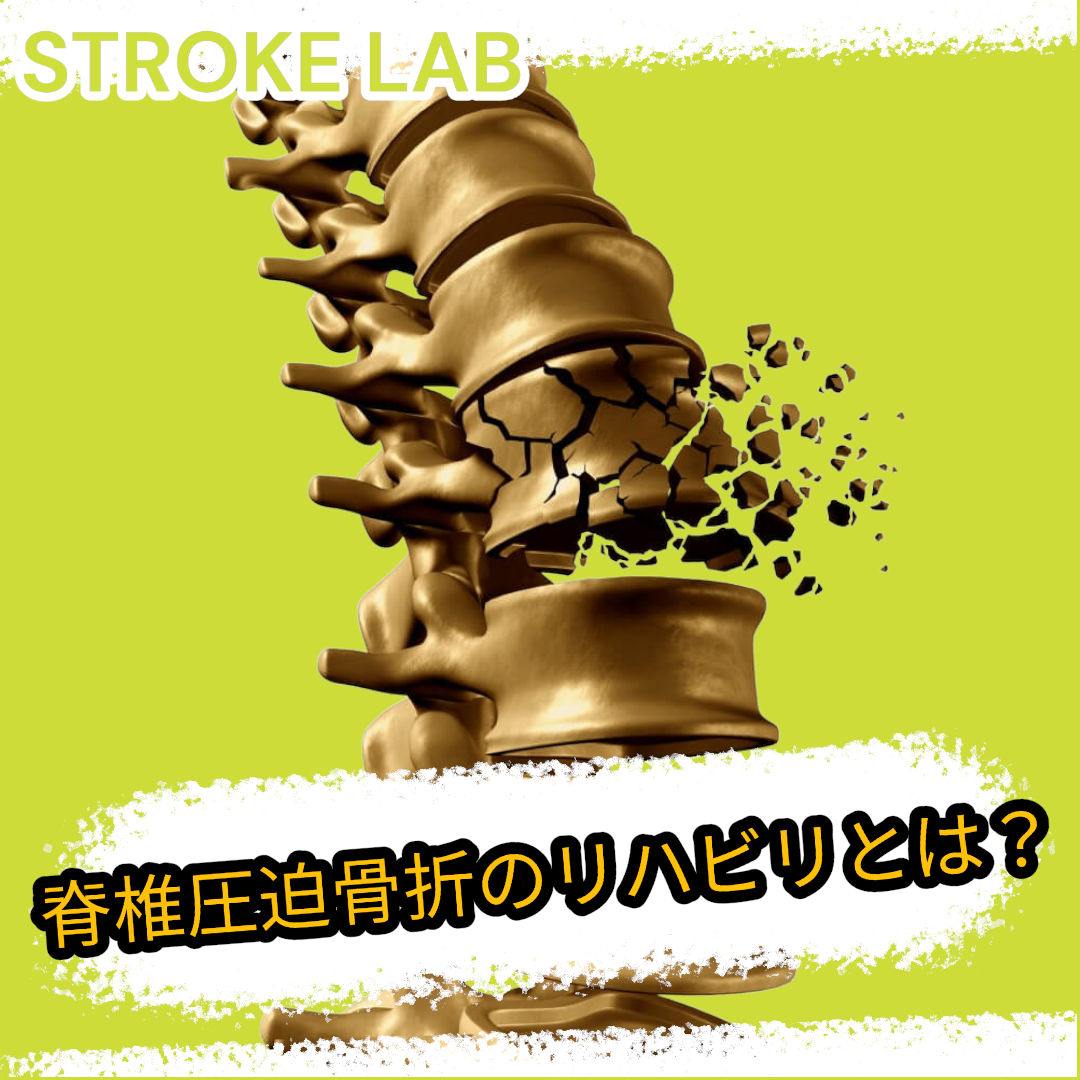 Amazon.co.jp: 脊椎のリハビリテーション [上] : クレイグ リー