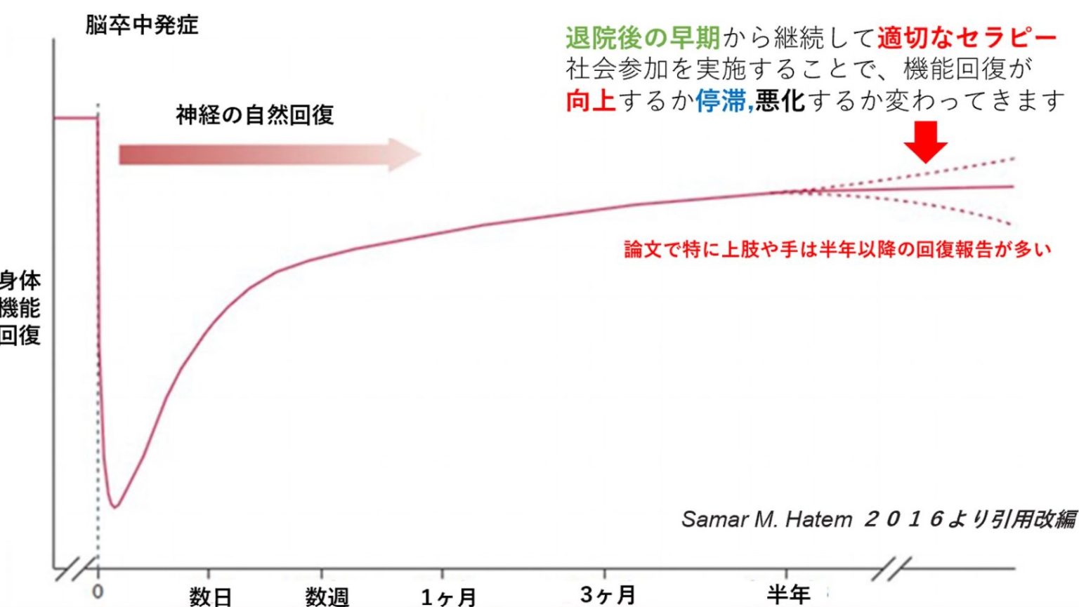 【2024年版】脳卒中後の機能回復曲線。急性期ー回復期ー慢性期6ヵ月でも回復するの?エビデンスをもとに解説 – STROKE LAB 東京 ...
