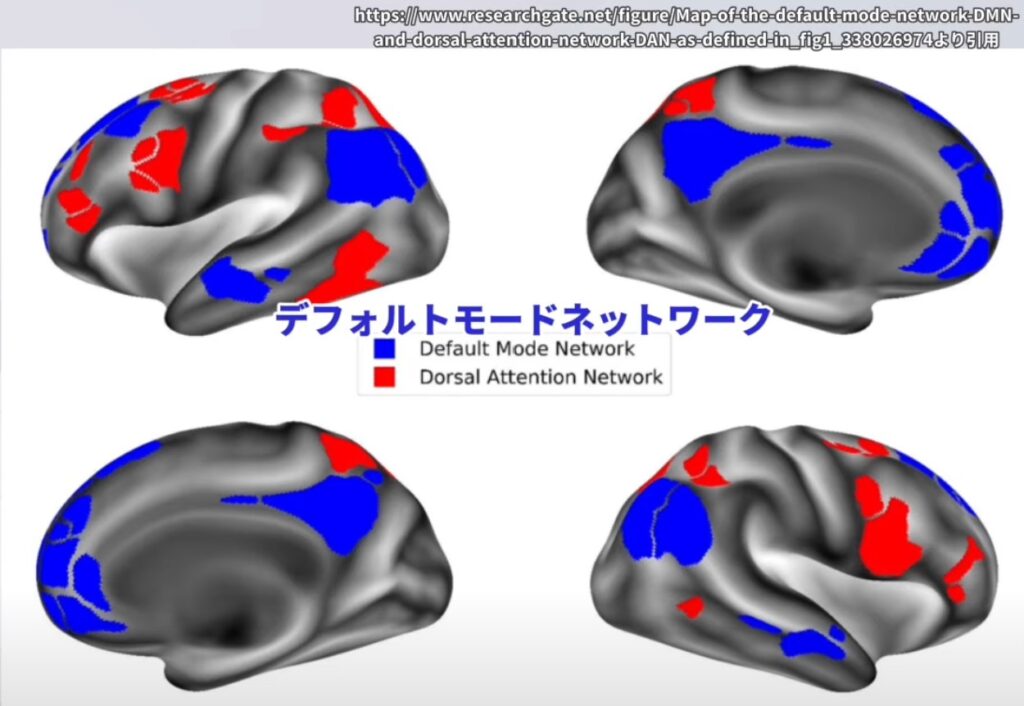 【2024年版】中側頭回の解剖とリハビリテーション:言語理解と認知機能の改善アプローチ! – STROKE LAB 東京/大阪 自費リハビリ ...