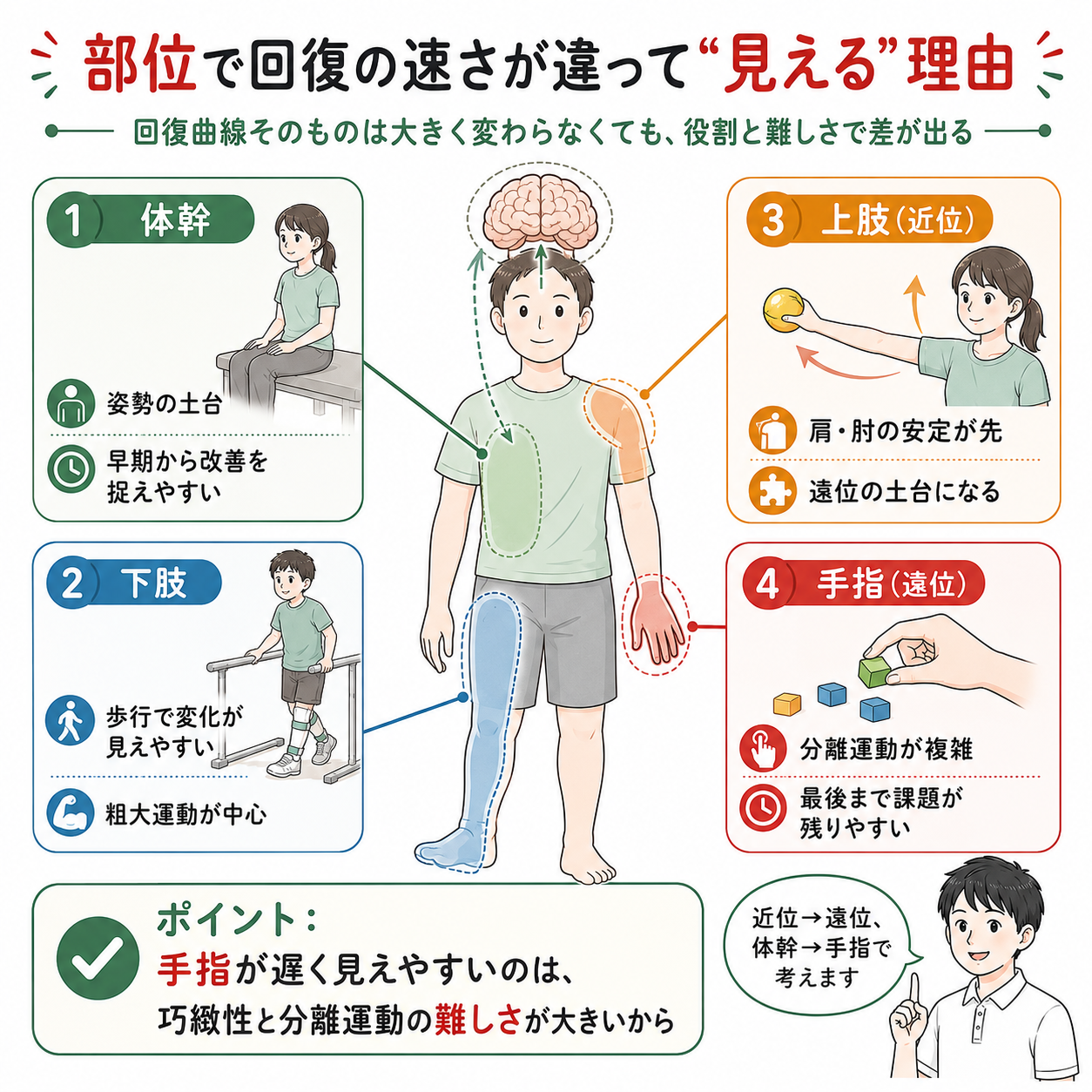 脳卒中症候群　　裁断済み 2026年版】脳卒中の回復は部位で違う？上肢・体幹・下肢のエビデンス