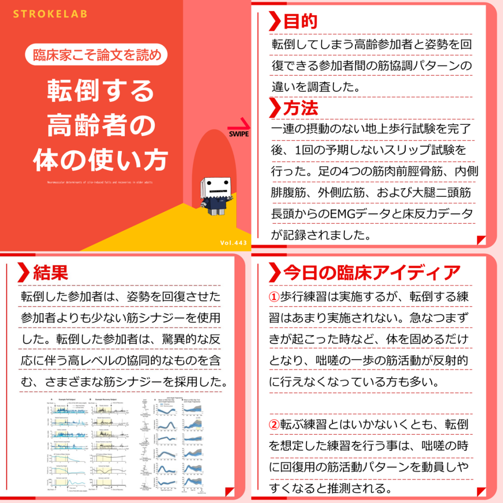 2025年最新版】転倒する高齢者 vs 転倒しない高齢者の違いとは