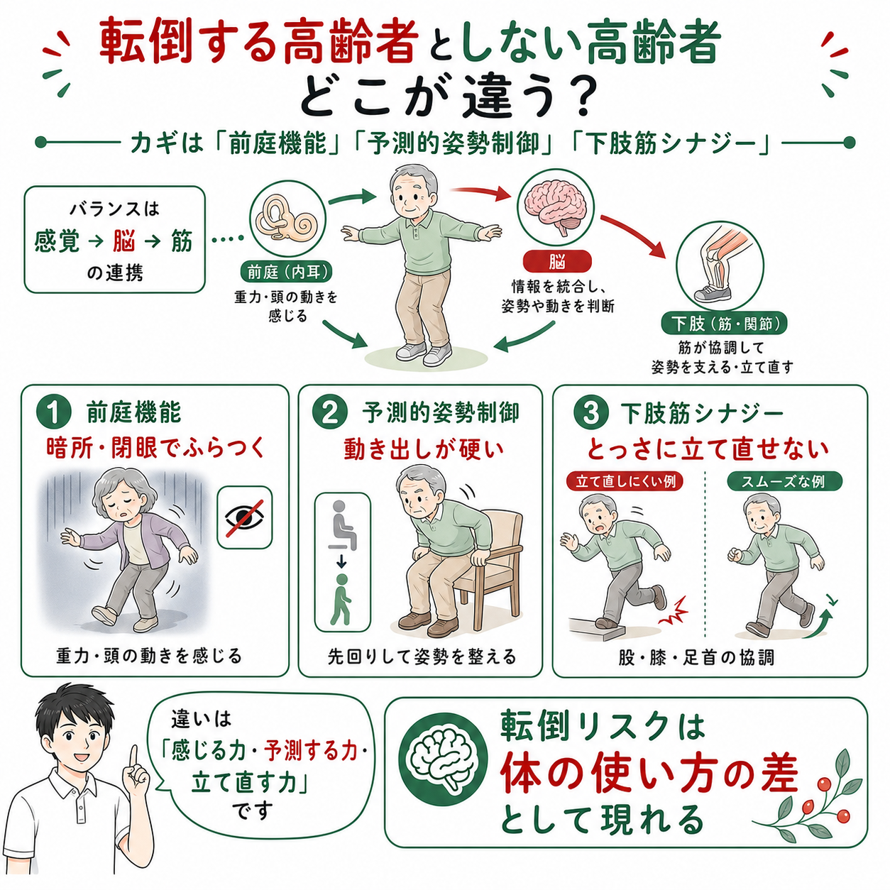 2026年版】転倒する高齢者 vs 転倒しない高齢者の違いとは？脳科学