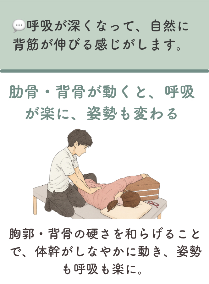 セラピー内容2:胸郭・体幹の連動改善